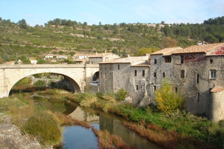 Auberge Restaurant Medieval,restaurant medieval aude, chambre d'hotes, grands sites aude,restaurant à themes,restaurant medieval,Auberge Restaurant Medieval,restaurant,restauration,restaurants aude, restauration languedoc roussillon, restaurant narbonne, restauration narbonne, menus restaurant, menu groupes restaurant, restaurant medieval, restaurant medieval, restauration à terme medieval, cuisine medieval, cuisine medieval aude,pays cathares,chateau cathares,restaurant cathares